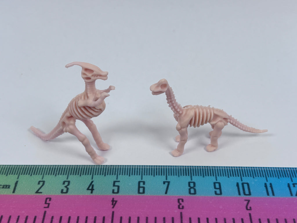 Miniature Dinosaur Fossil Skeleton – Random Style
