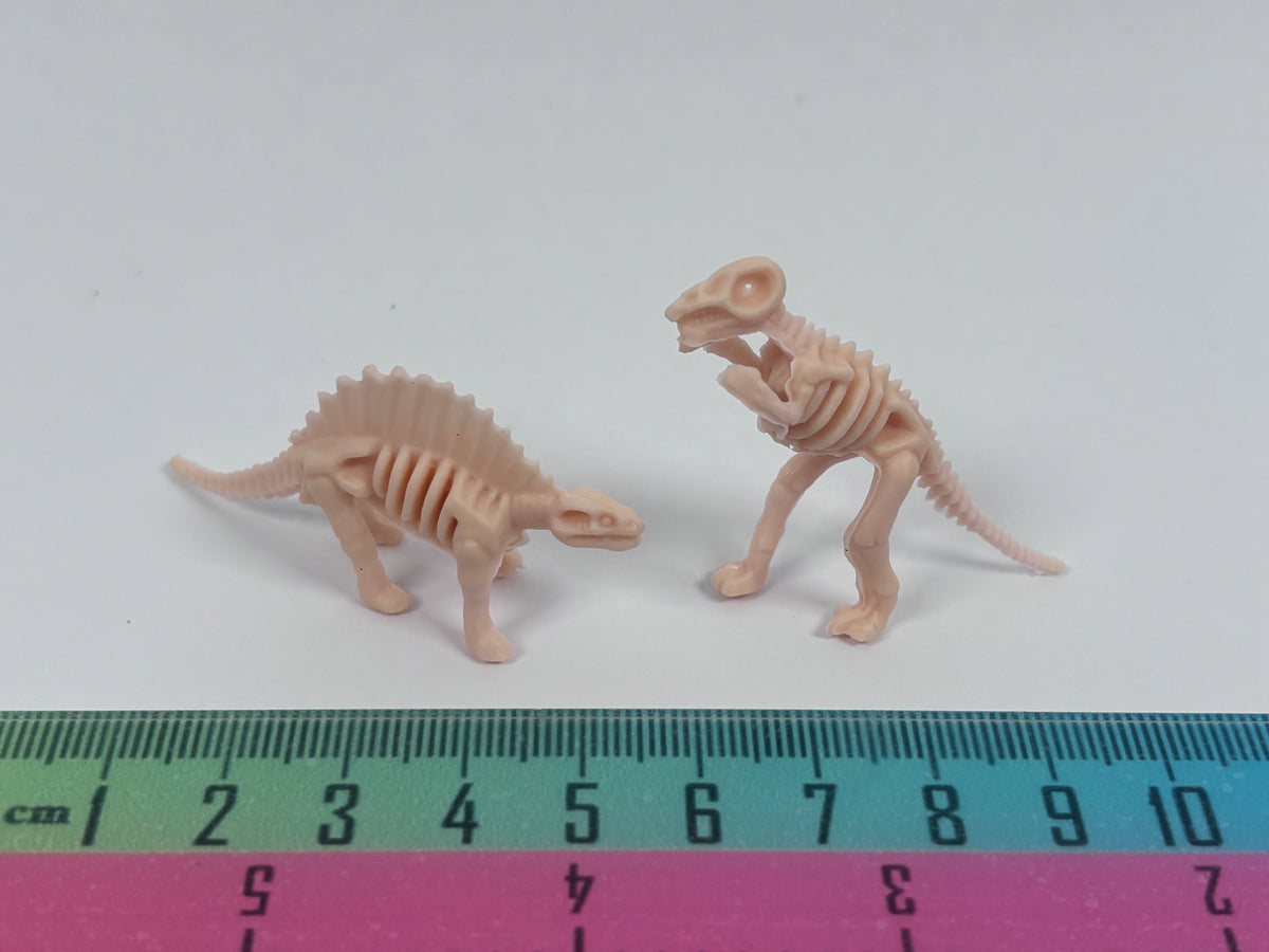 Miniature Dinosaur Fossil Skeleton – Random Style