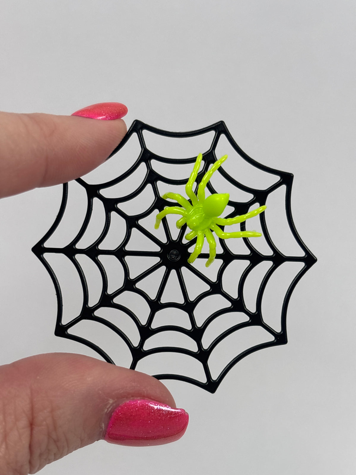 Miniature Spider Web & Spider – Random Colours