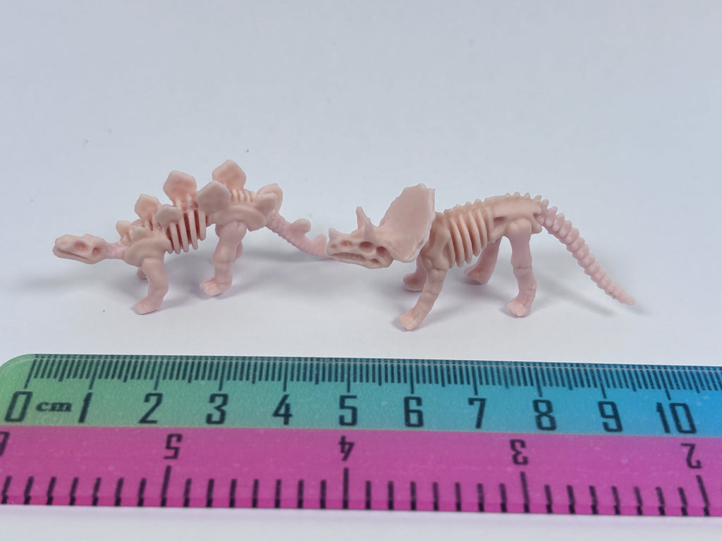 Miniature Dinosaur Fossil Skeleton – Random Style