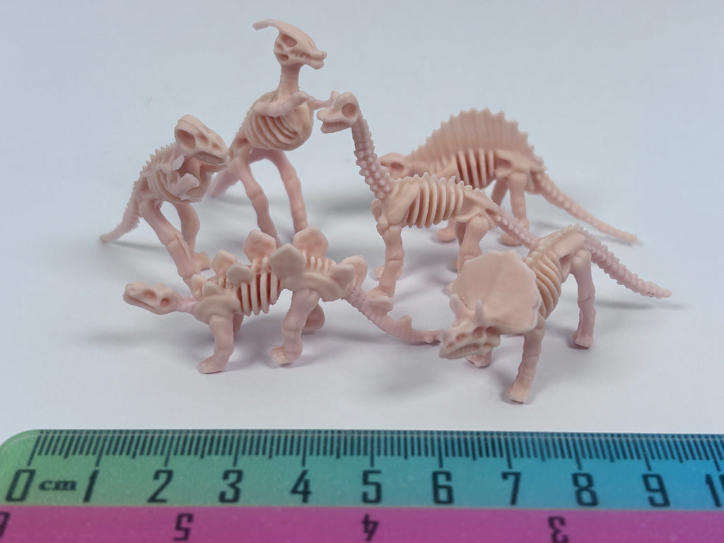 Miniature Dinosaur Fossil Skeleton – Random Style