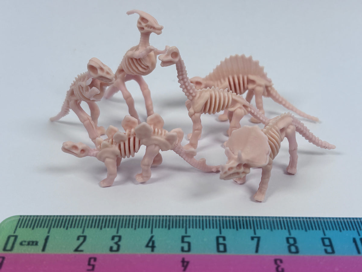 Miniature Dinosaur Fossil Skeleton – Random Style