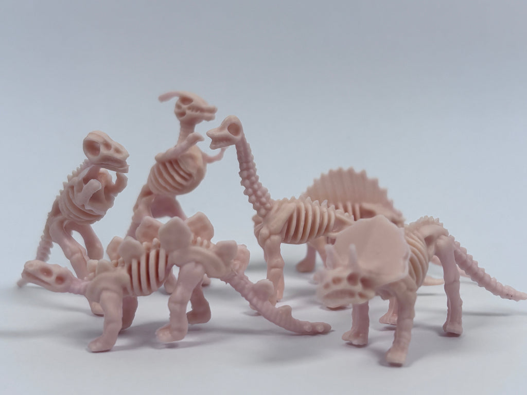 Miniature Dinosaur Fossil Skeleton – Random Style